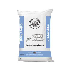 تغذية العجول